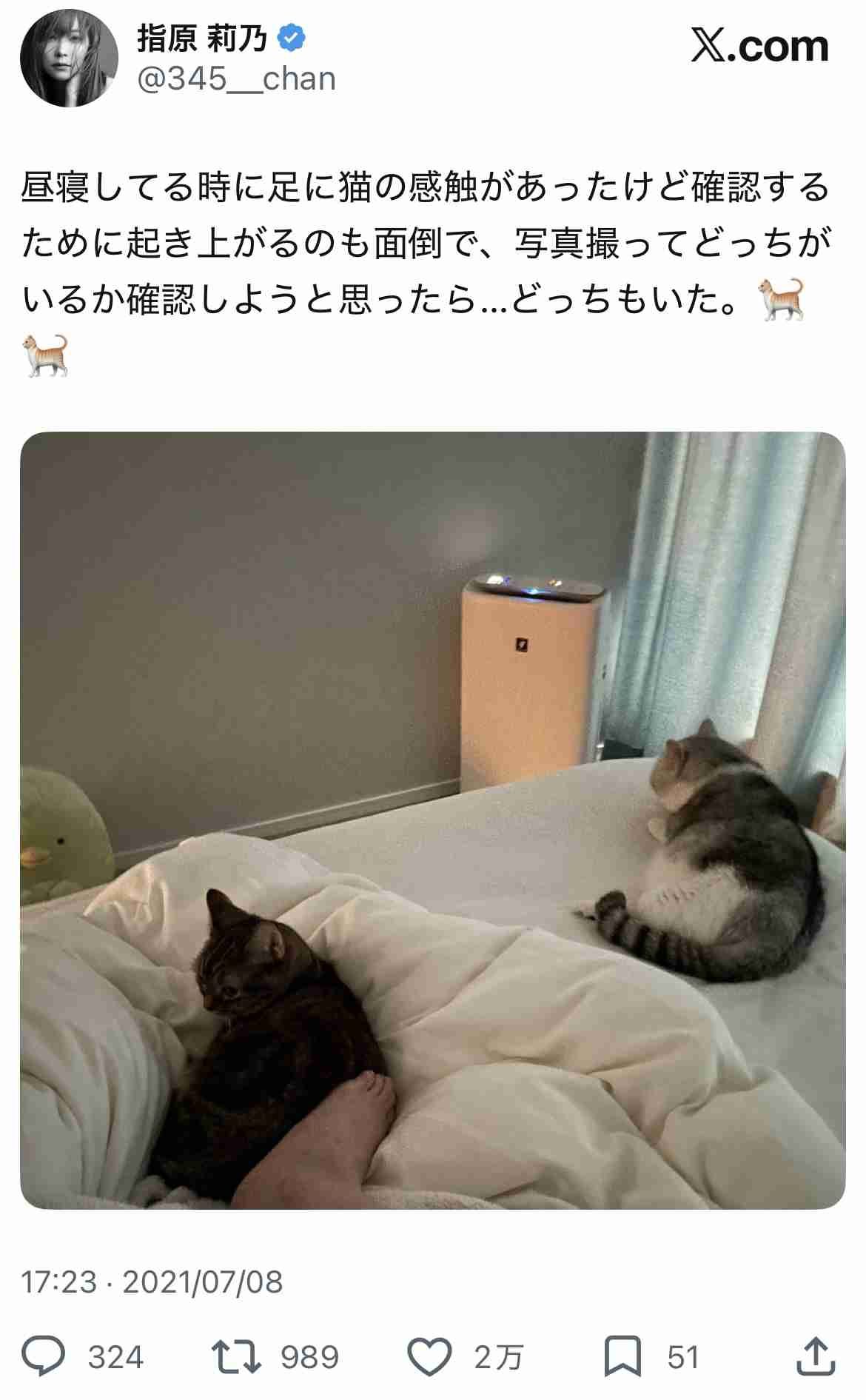 猫を飼ってる人のお出かけ