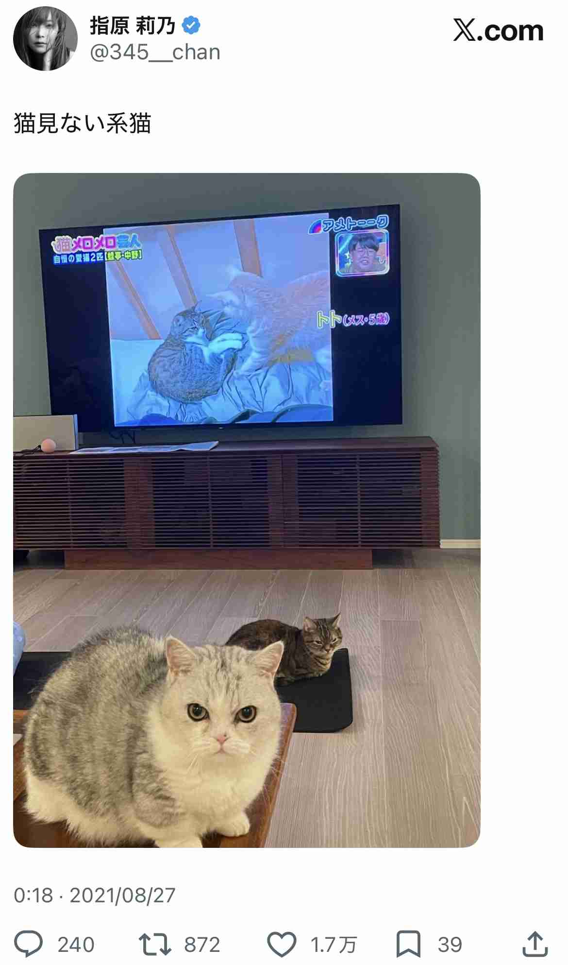 猫を飼ってる人のお出かけ