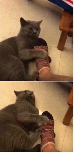 縁もゆかりもなさすぎてわからないこと