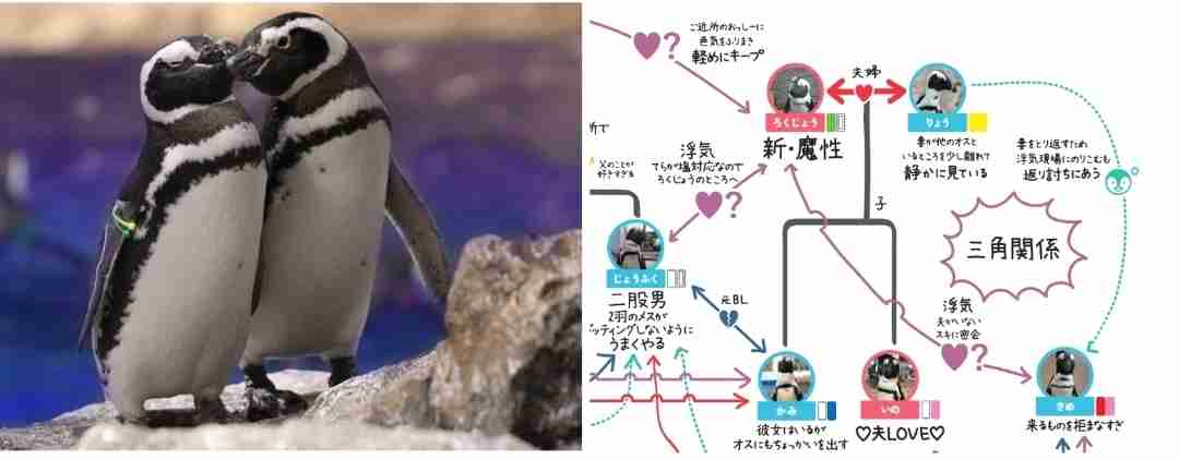 【全国の動物園・水族館】推しの動物がいる方教えて下さい