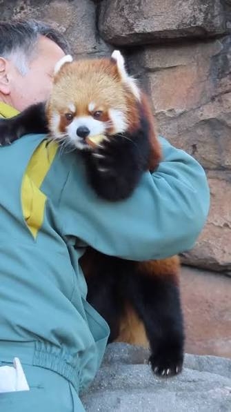 【全国の動物園・水族館】推しの動物がいる方教えて下さい