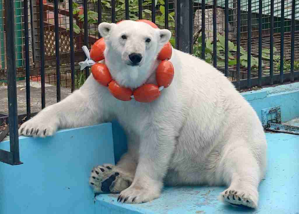 【全国の動物園・水族館】推しの動物がいる方教えて下さい