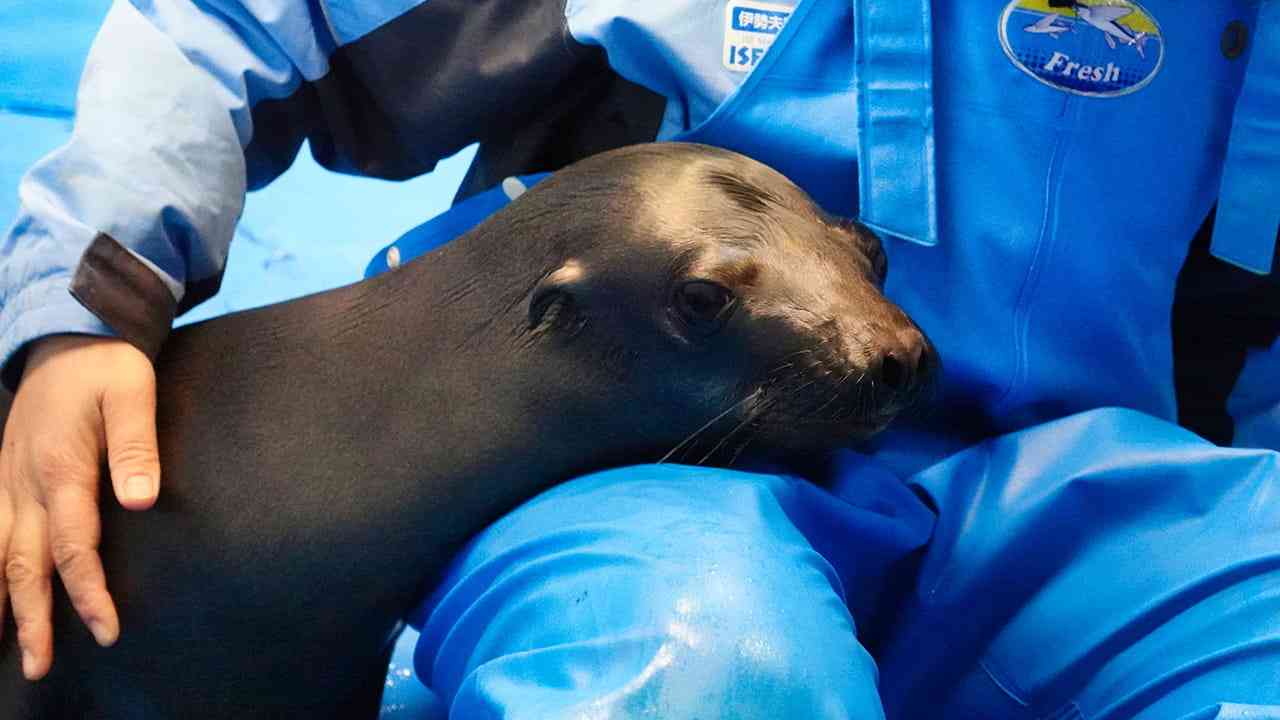 【全国の動物園・水族館】推しの動物がいる方教えて下さい