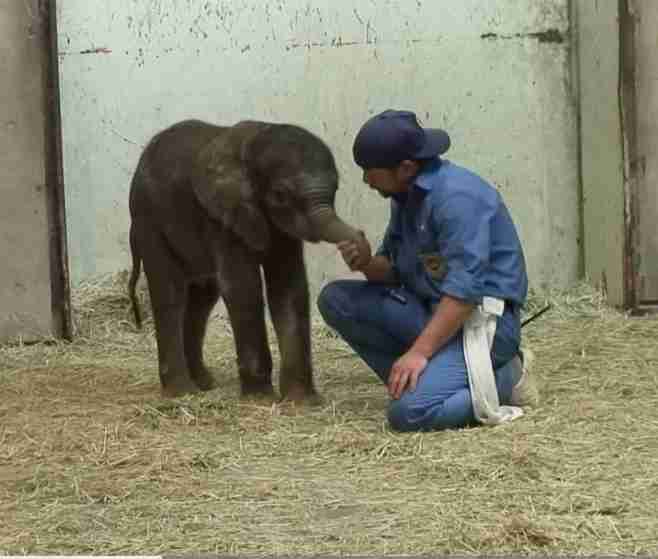 【全国の動物園・水族館】推しの動物がいる方教えて下さい