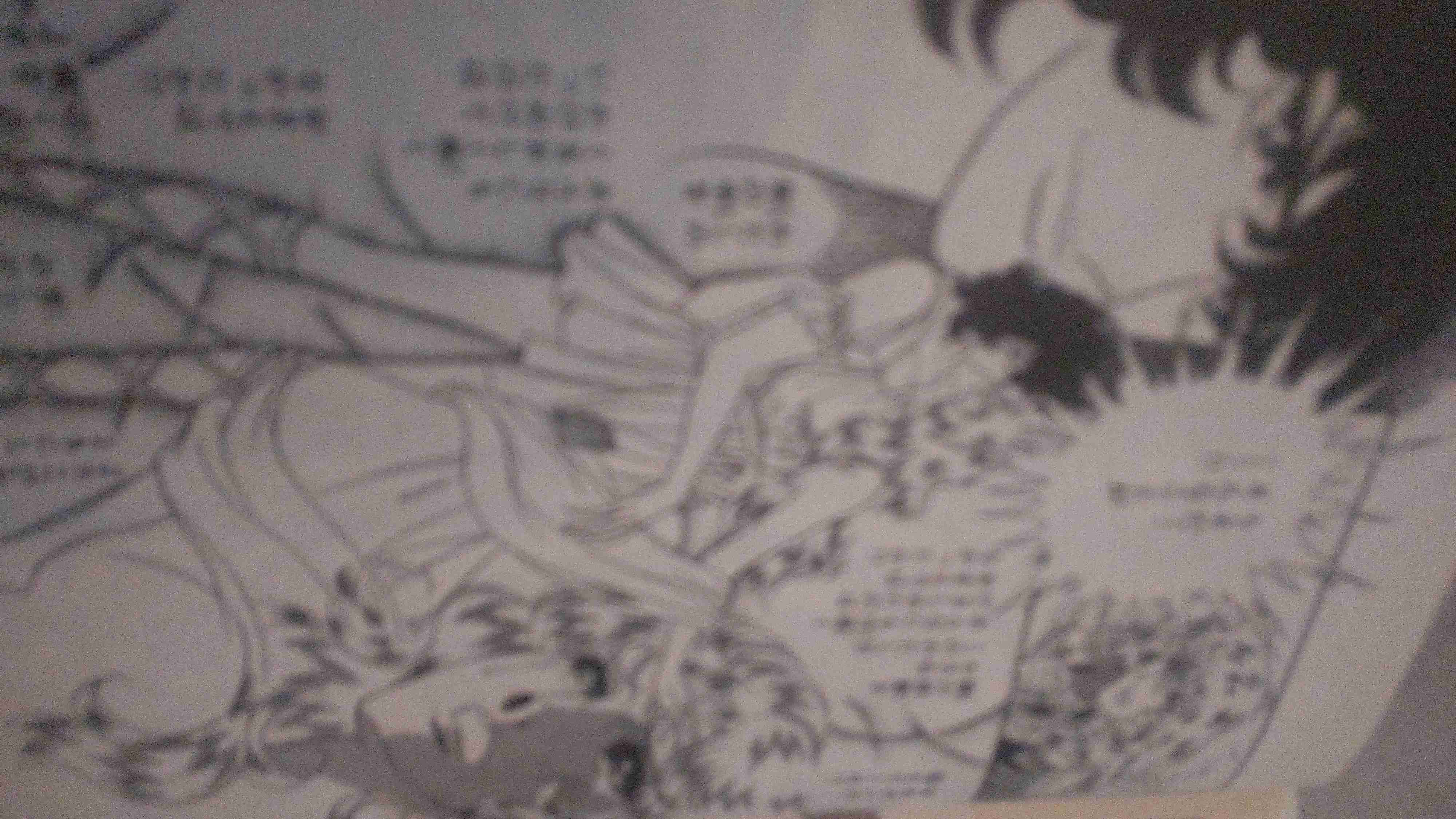 ベルばらのオスカル様大好きな人！