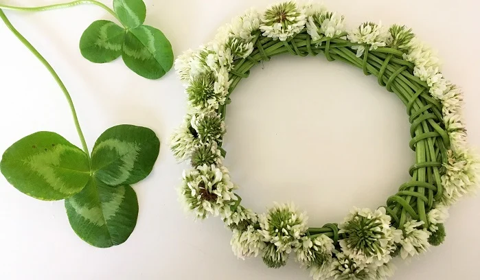 草花遊び🍀🌿
