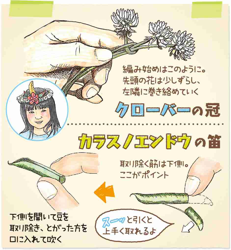 草花遊び🍀🌿