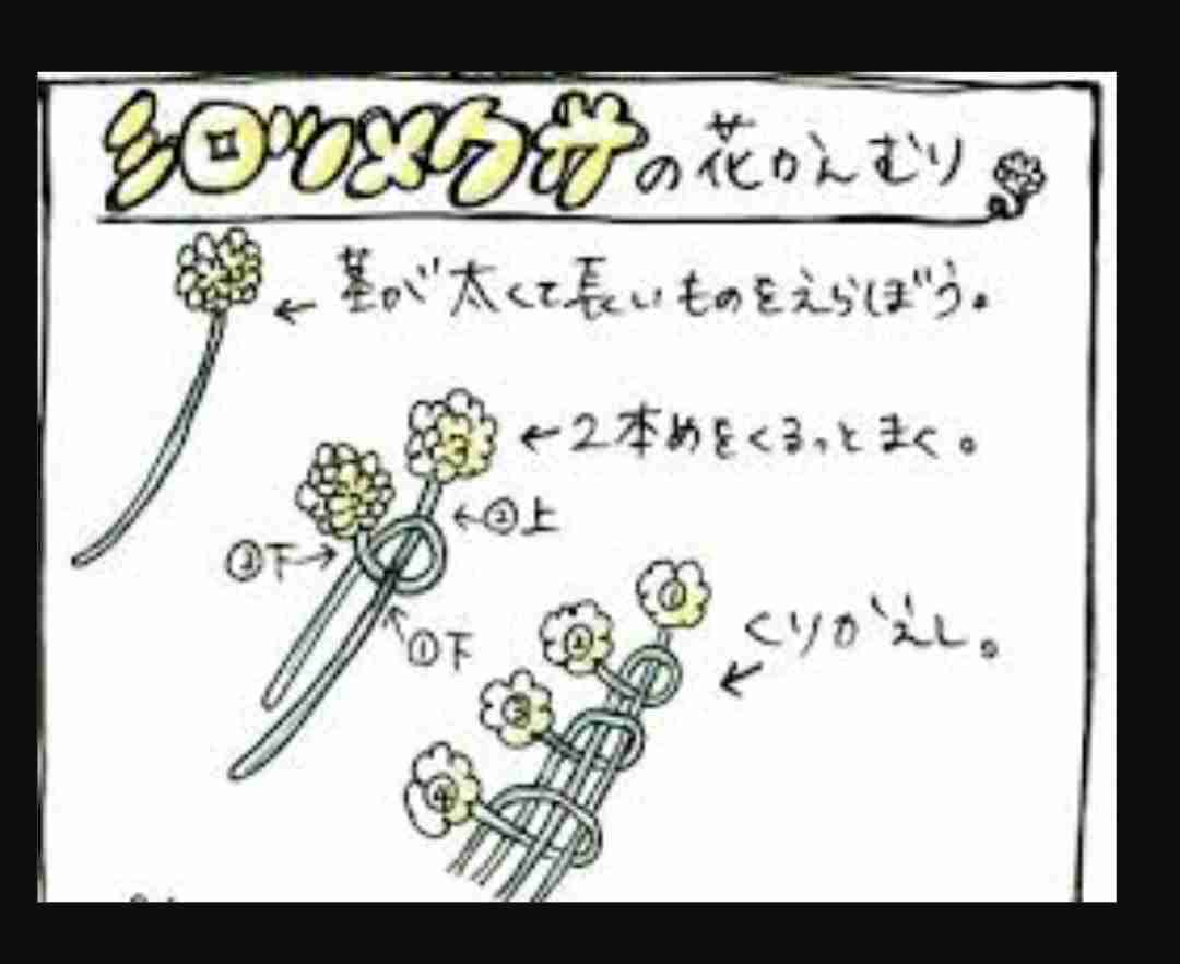 草花遊び🍀🌿