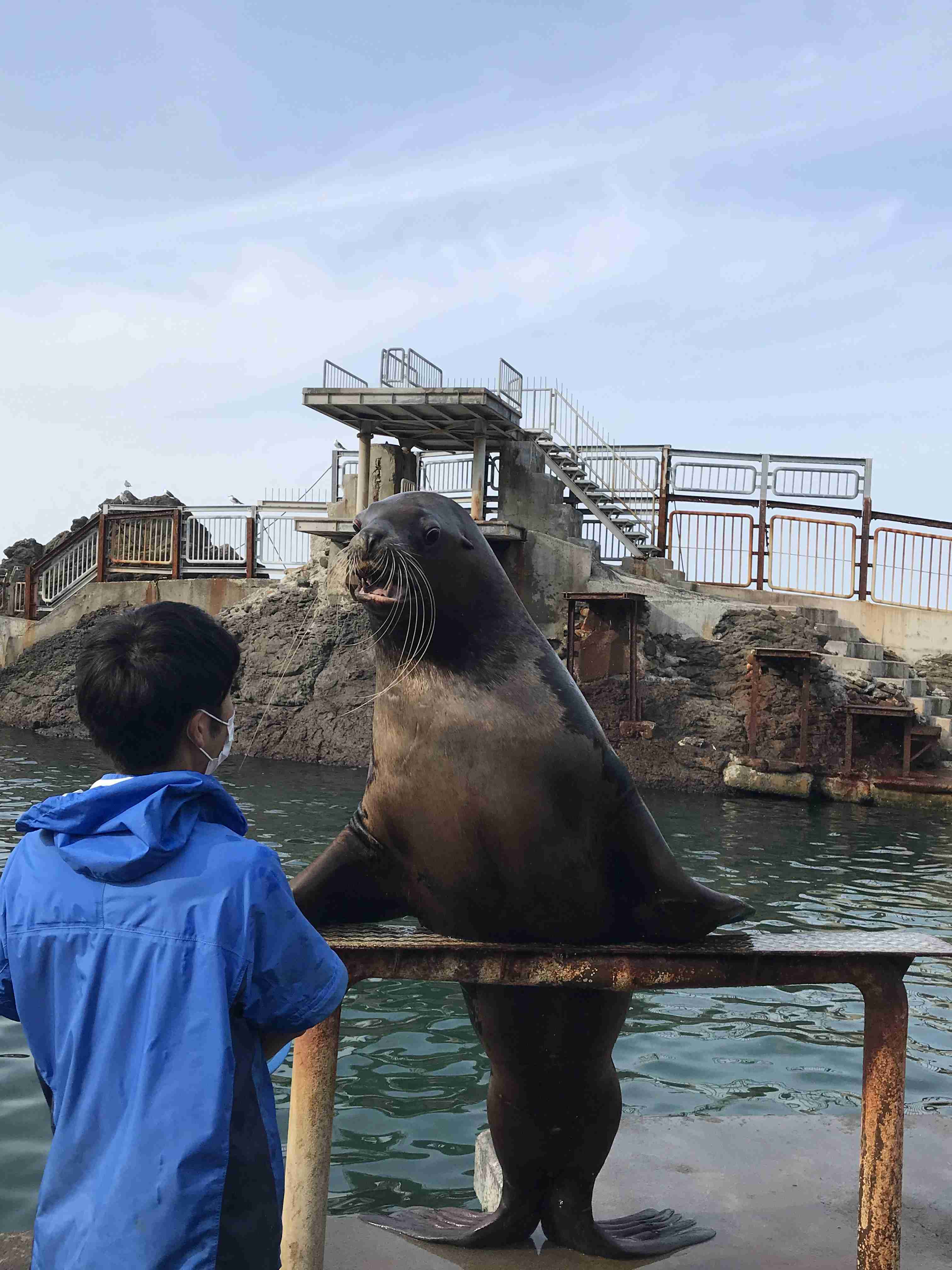 なんか人間ぽいなと思った動物たち
