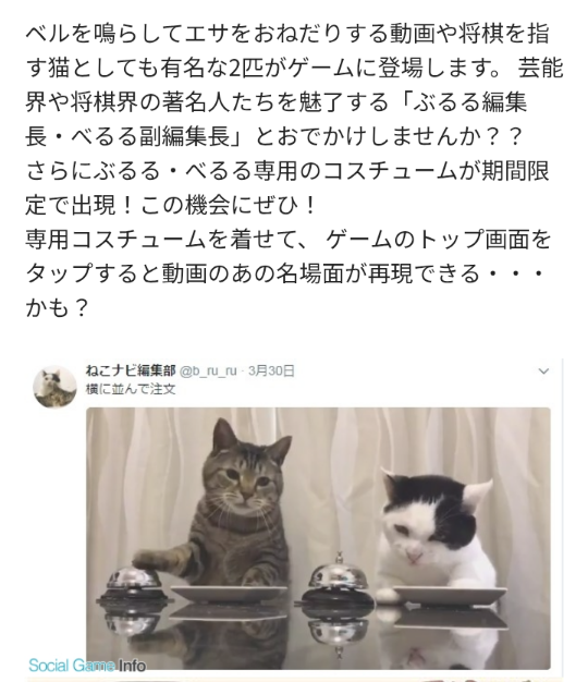なんか人間ぽいなと思った動物たち