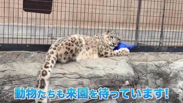 GWに混んでる場所を報告するトピ
