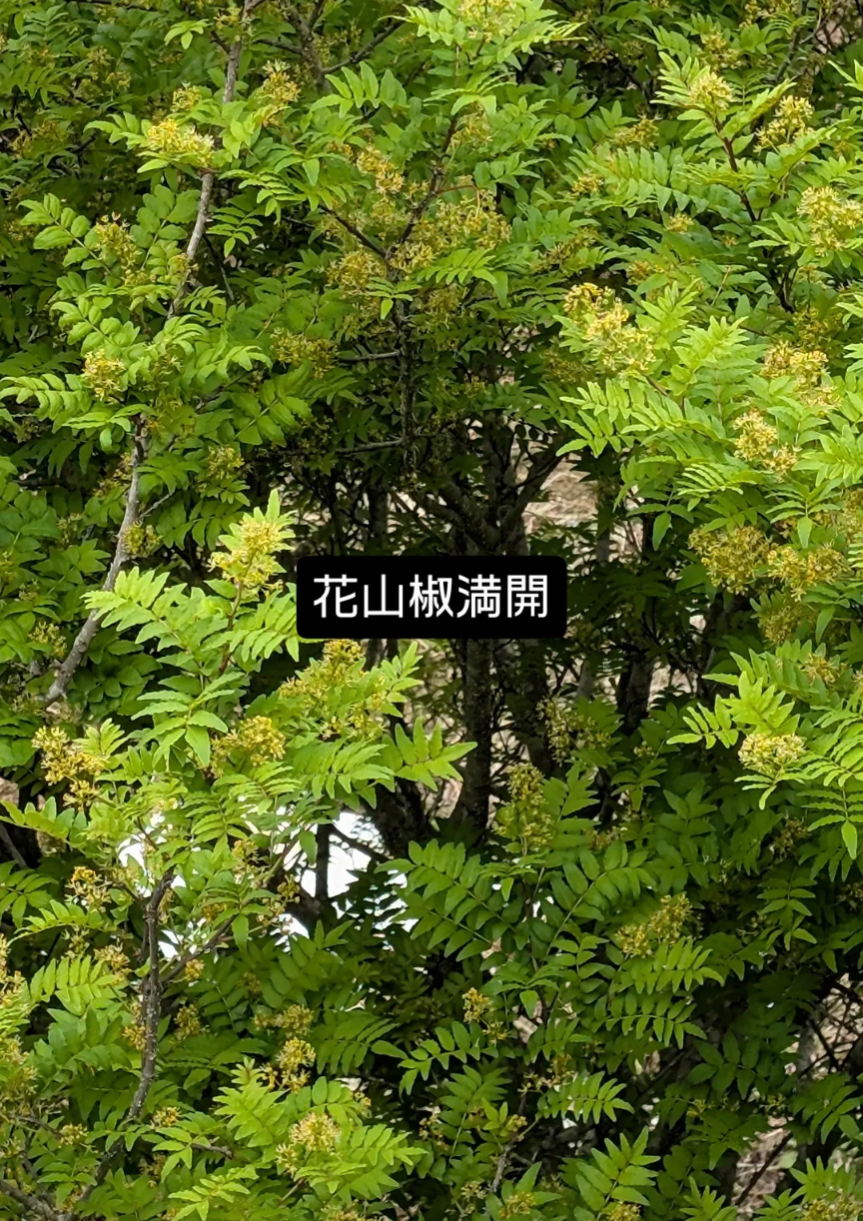 「あんたの方がよっぽど怖いよ」13万円のコース料理を初めて食べた人の感想がこちら