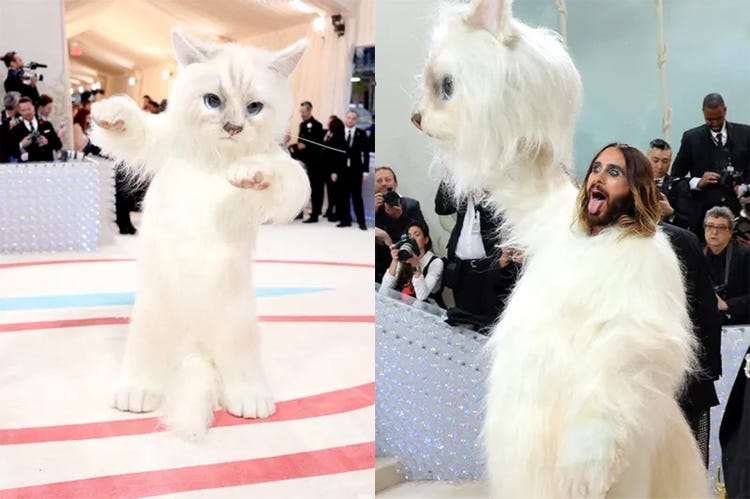 【実況・感想】メットガラ2026を語ろう！【MetGala2026】