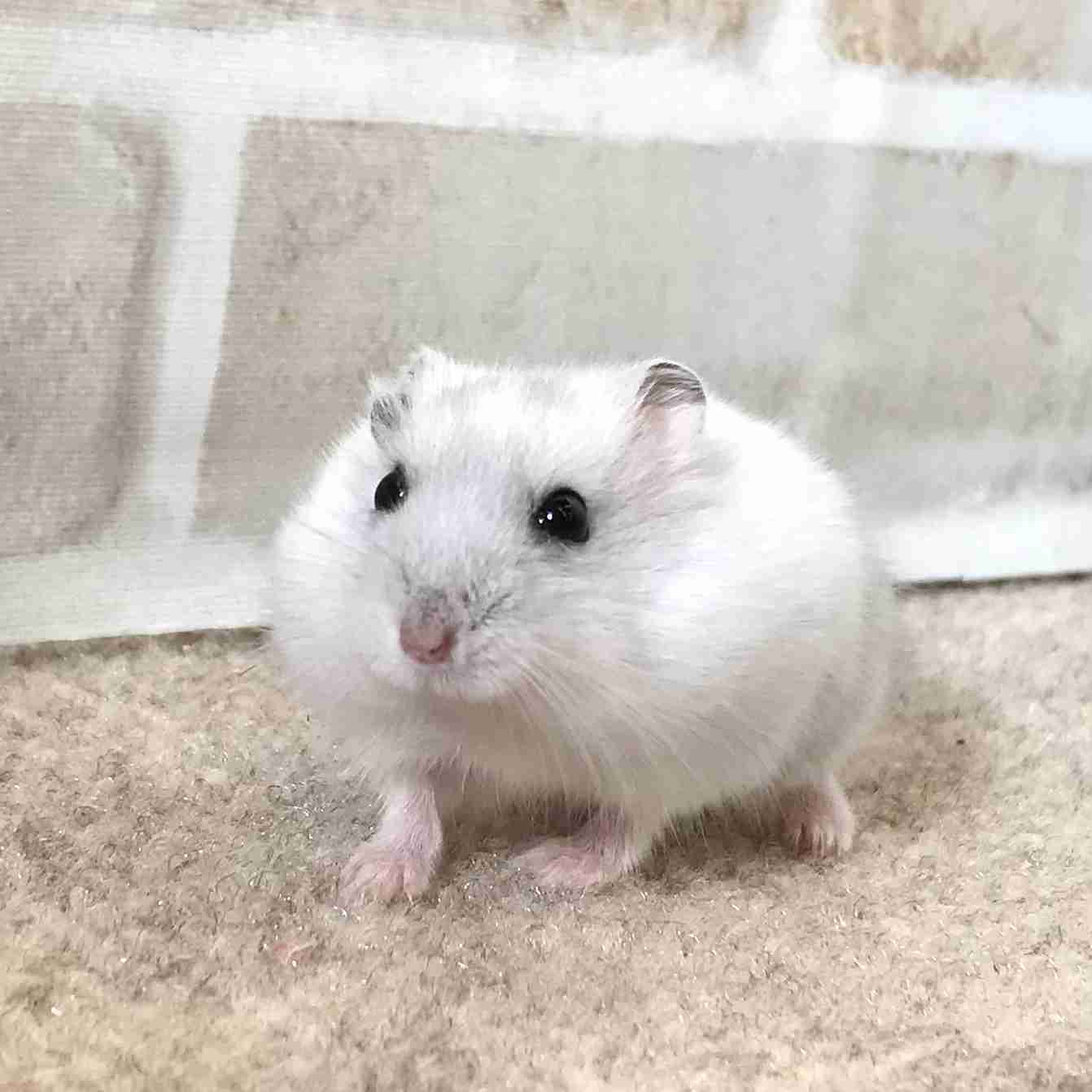 大切にしてるものありますか?