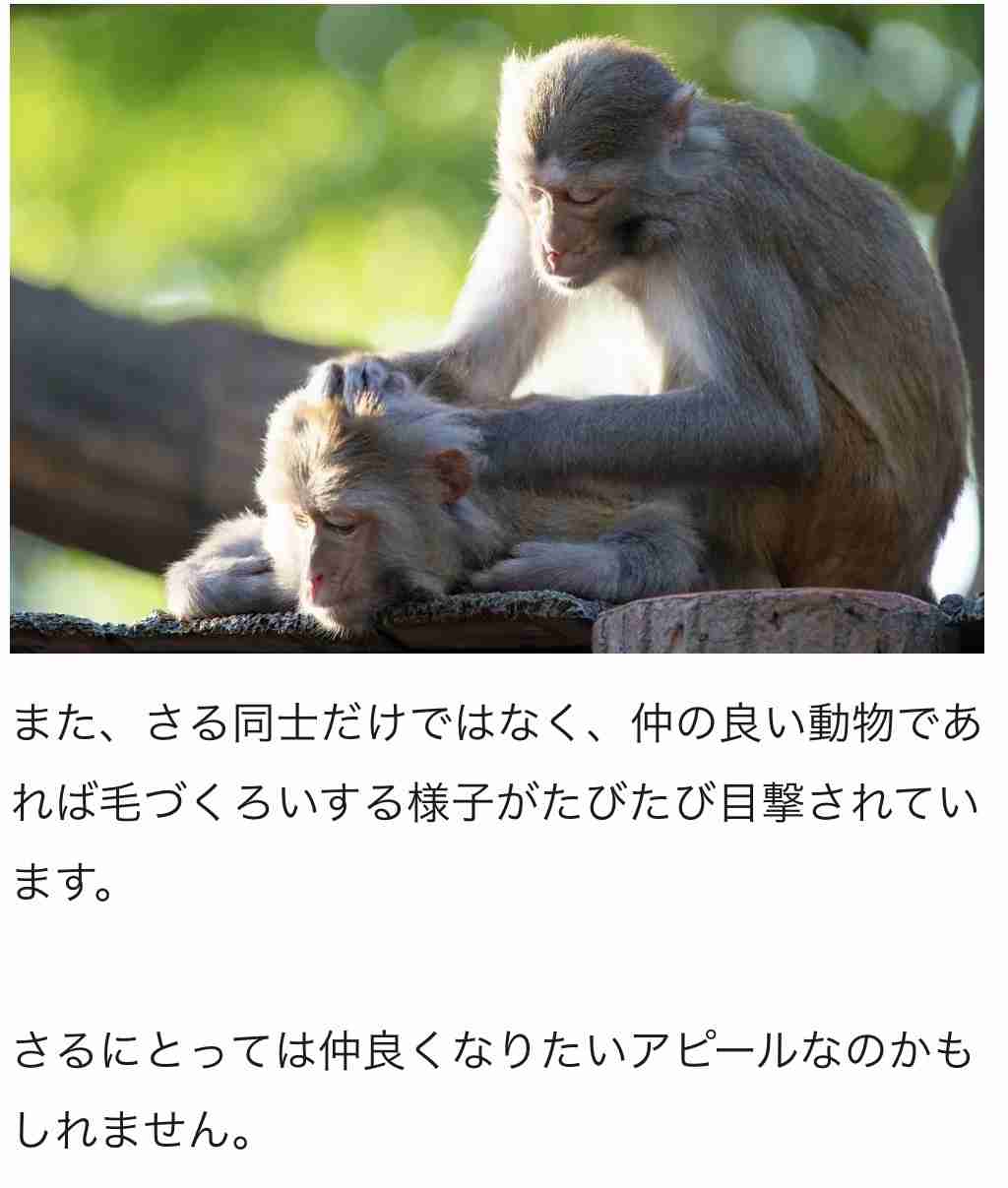 https://up.gc-img.net/post_img/2026/05/sGYC1gJSwa4B6wM_SWNAu_4368.jpeg
