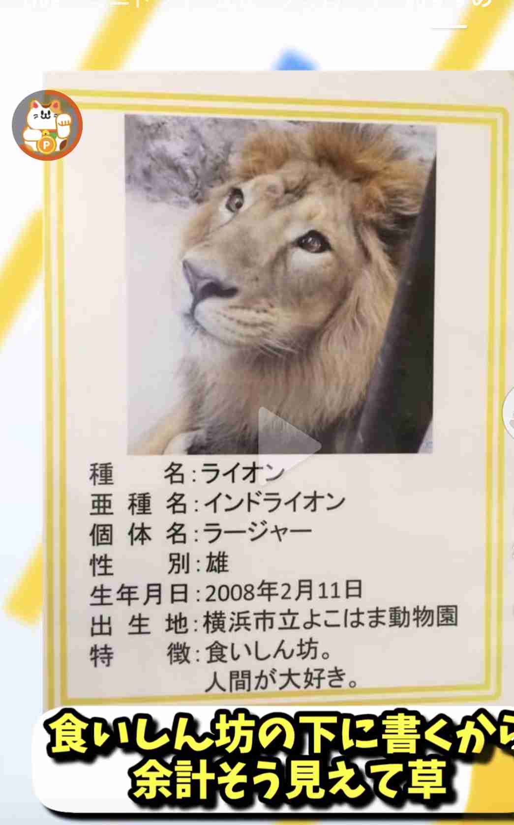 おバカっぽく見える画像トピ