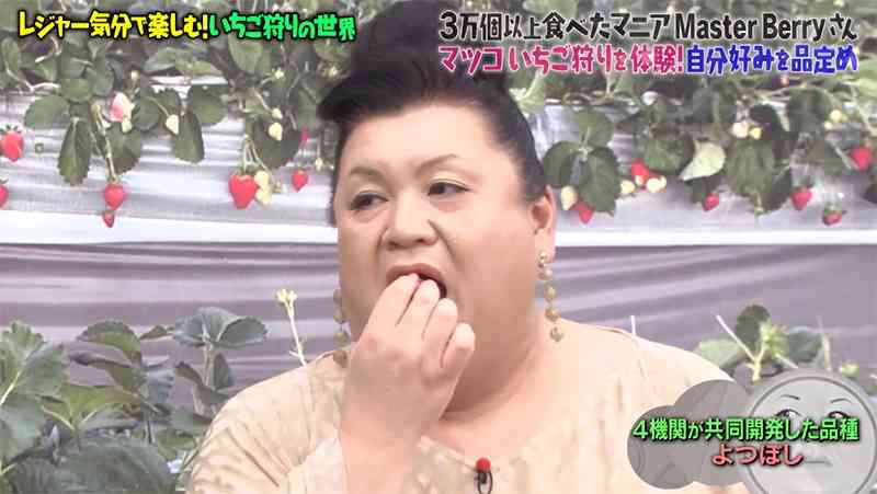 A型は美川憲一、B型はマツコ、O型は武田鉄矢、AB型はIKKO言葉で話すトピ Part15
