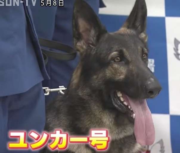 A型は美川憲一、B型はマツコ、O型は武田鉄矢、AB型はIKKO言葉で話すトピ Part15
