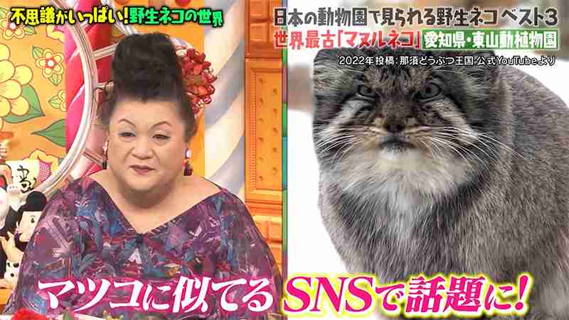A型は美川憲一、B型はマツコ、O型は武田鉄矢、AB型はIKKO言葉で話すトピ Part15