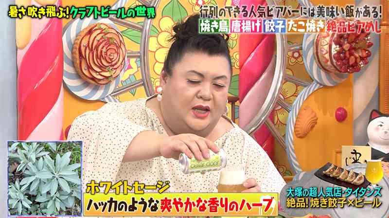 A型は美川憲一、B型はマツコ、O型は武田鉄矢、AB型はIKKO言葉で話すトピ Part15