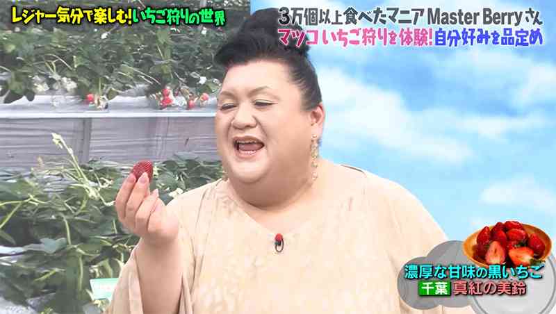 A型は美川憲一、B型はマツコ、O型は武田鉄矢、AB型はIKKO言葉で話すトピ Part15