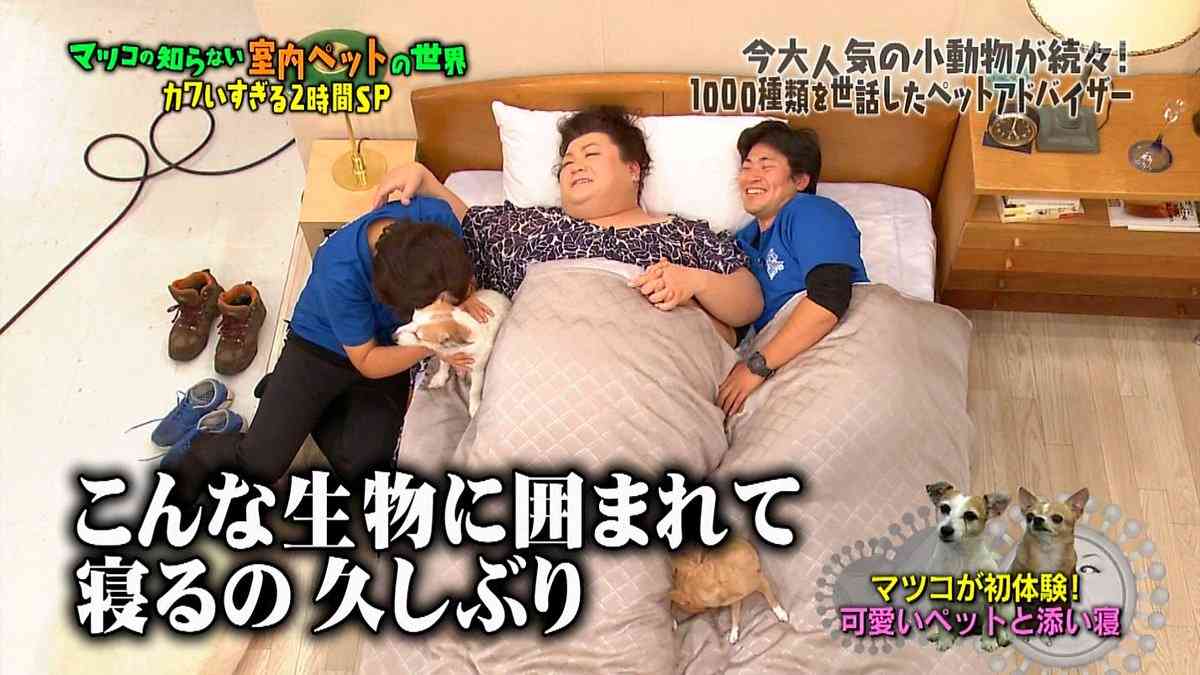 A型は美川憲一、B型はマツコ、O型は武田鉄矢、AB型はIKKO言葉で話すトピ Part15