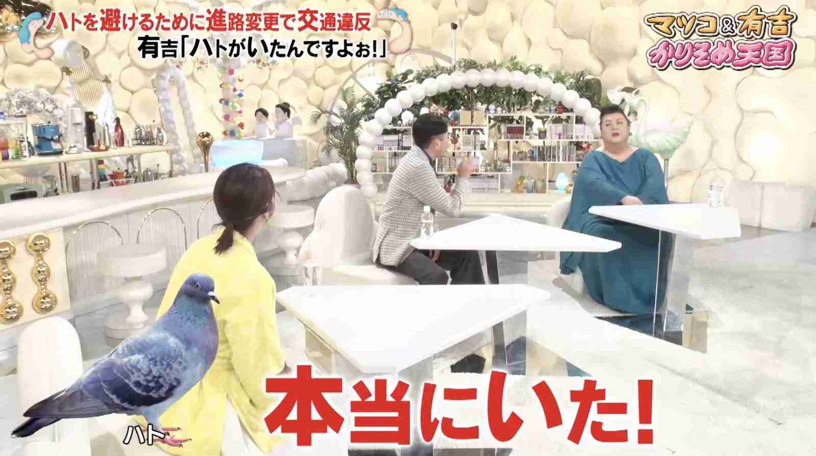 A型は美川憲一、B型はマツコ、O型は武田鉄矢、AB型はIKKO言葉で話すトピ Part15