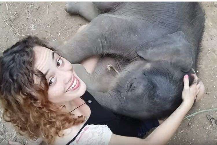 ゾウが好きな人〜🐘