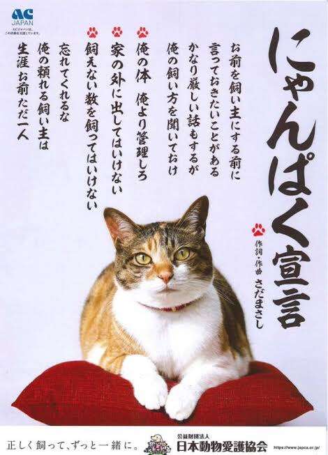 自分ちのペットが思ってそうなこと