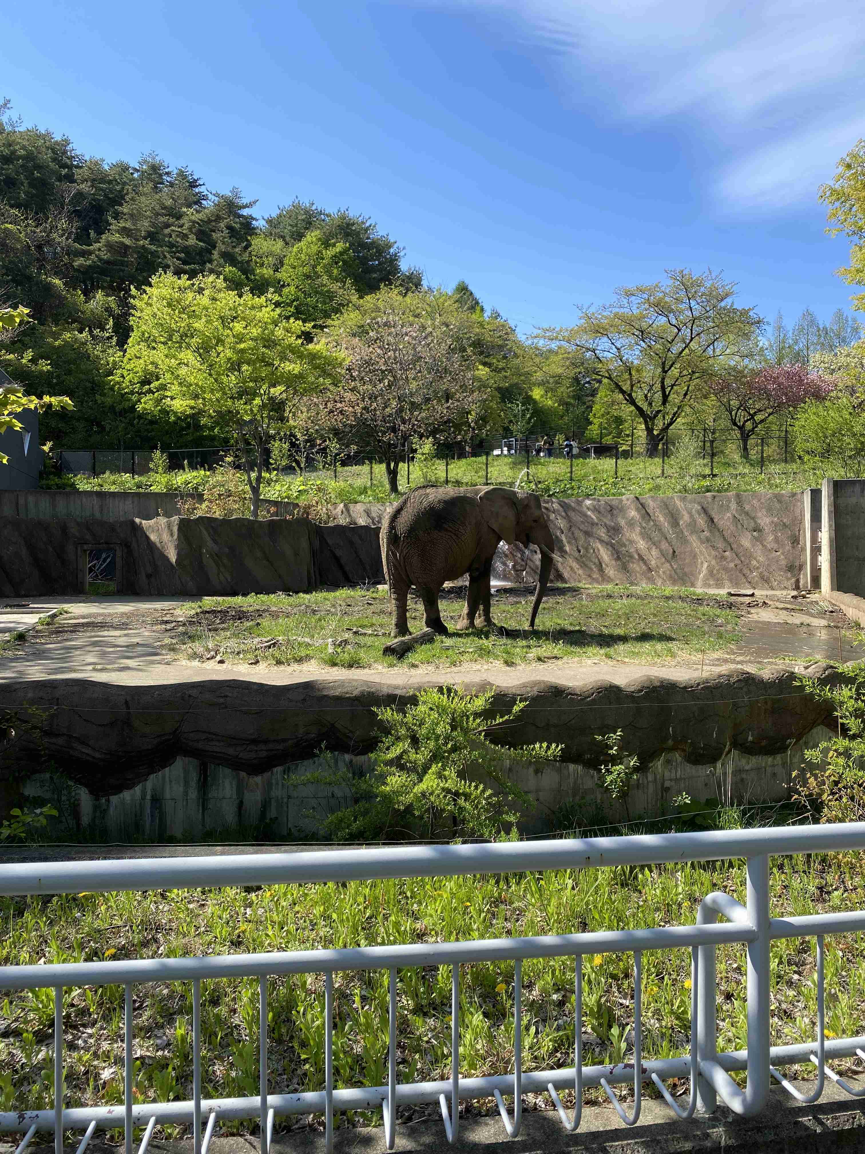 行ってみて気付いた他県のアレコレ
