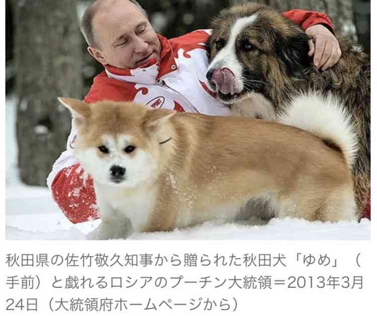 ロシア産原油を載せた制裁タンカーが愛媛沖に到着、まもなく接岸 　太陽石油が受け入れへ