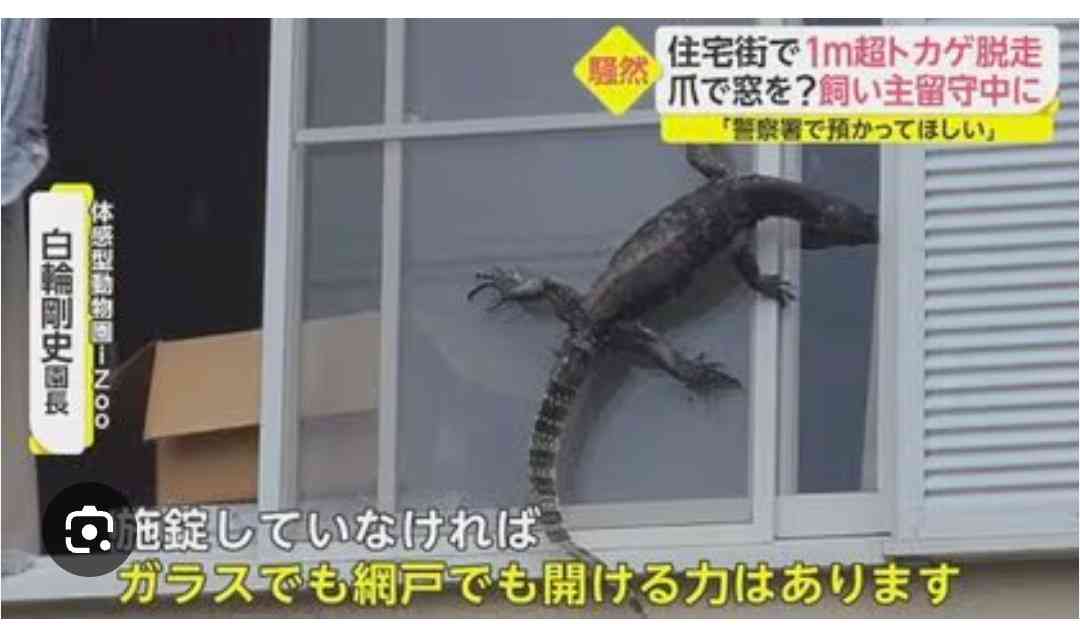 もし留守中こんな事起きたら