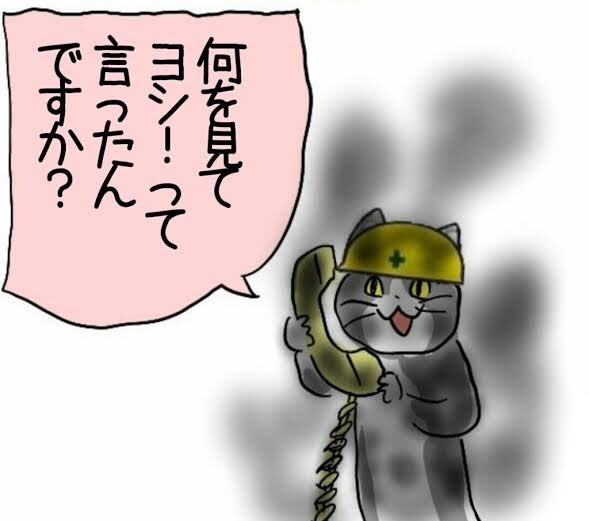 芸能人が好きなキャラクター