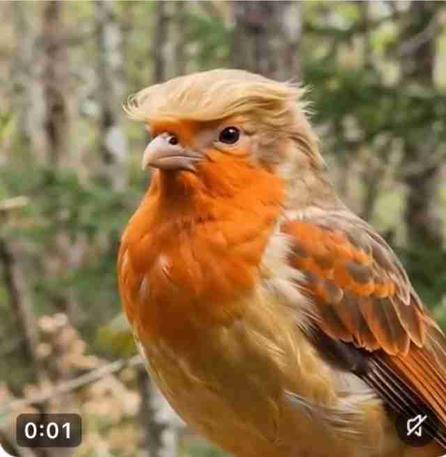 トランプ、“排泄物まみれの池”にオバマやバイデンを浮かべるAI画像を投稿。「下水が大好き」と揶揄