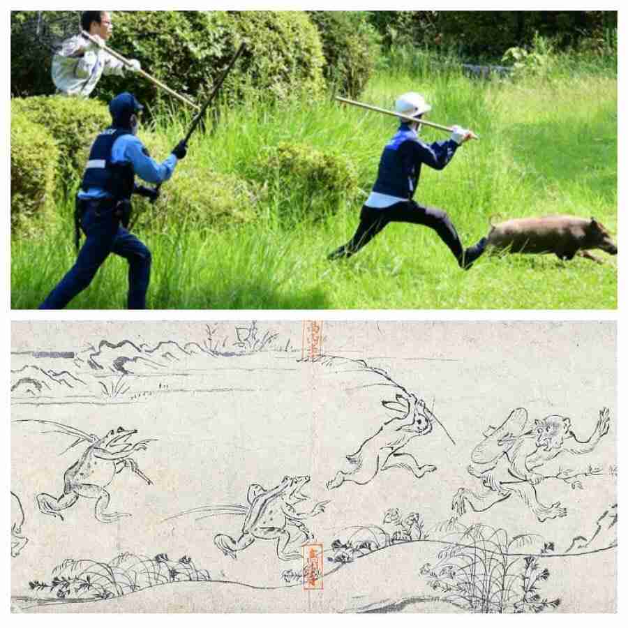 色んな国宝が見たい