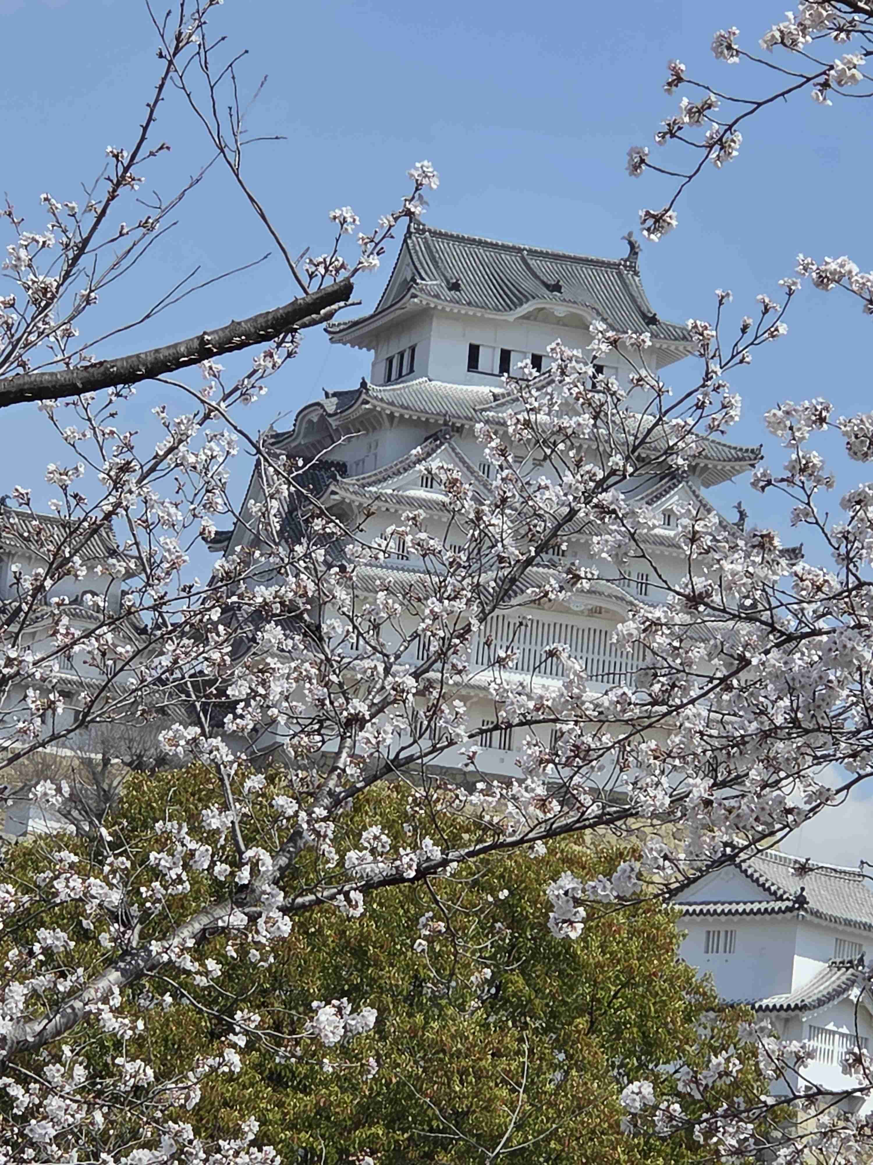 色んな国宝が見たい