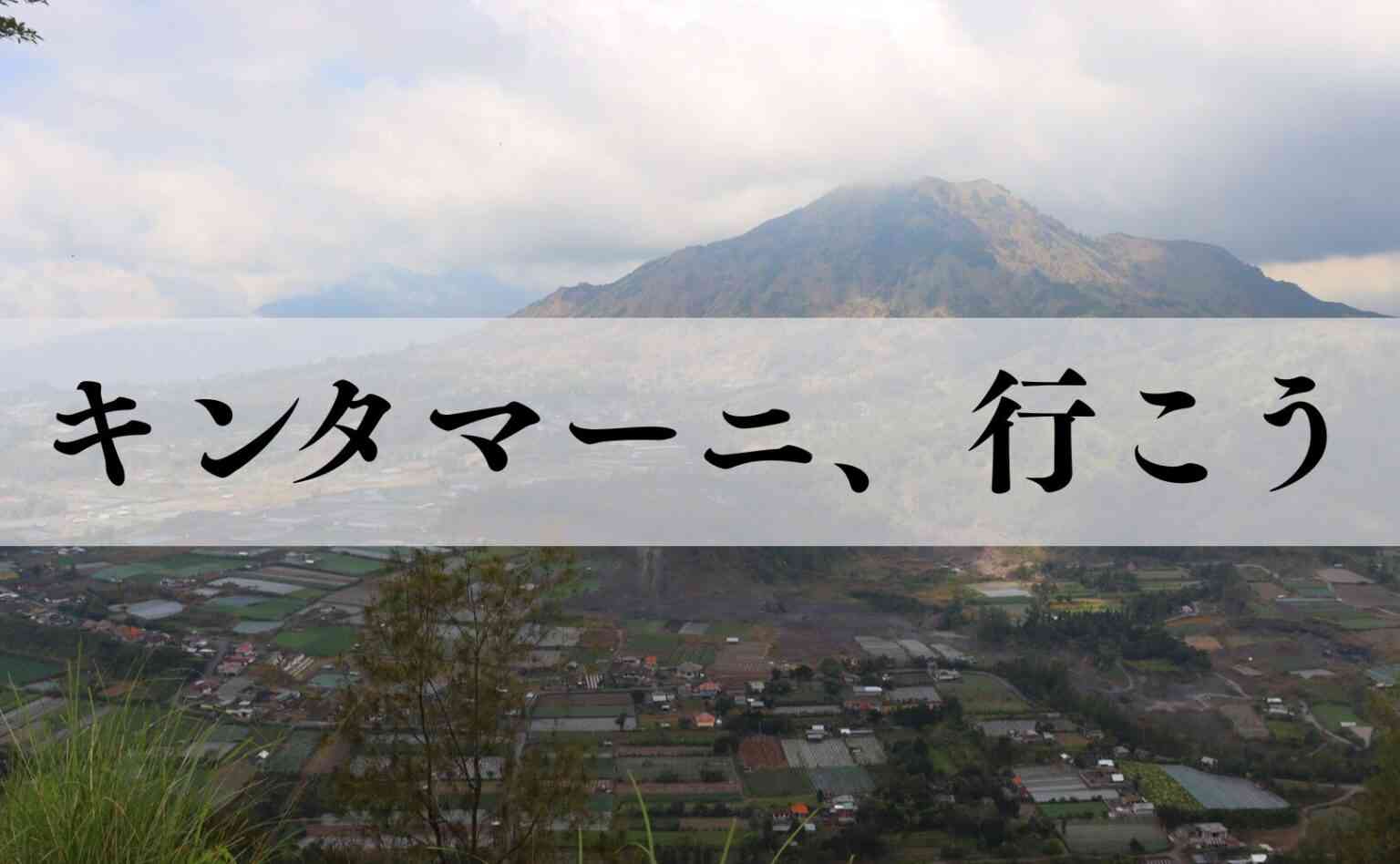 「息子に20発くらい殴られた」48歳父親が通報するも、妻への暴行行為発覚で逮捕　18歳息子は傷害容疑で逮捕《親子間トラブルか》札幌市