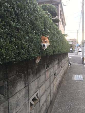 理由のわからない不安感がある人!