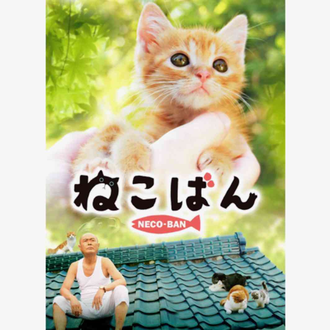 猫がでてくる映像作品（映画・ドラマなど）