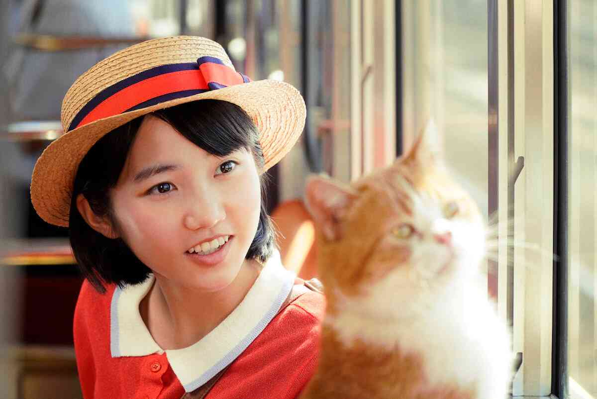猫がでてくる映像作品（映画・ドラマなど）