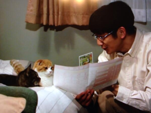 猫がでてくる映像作品（映画・ドラマなど）