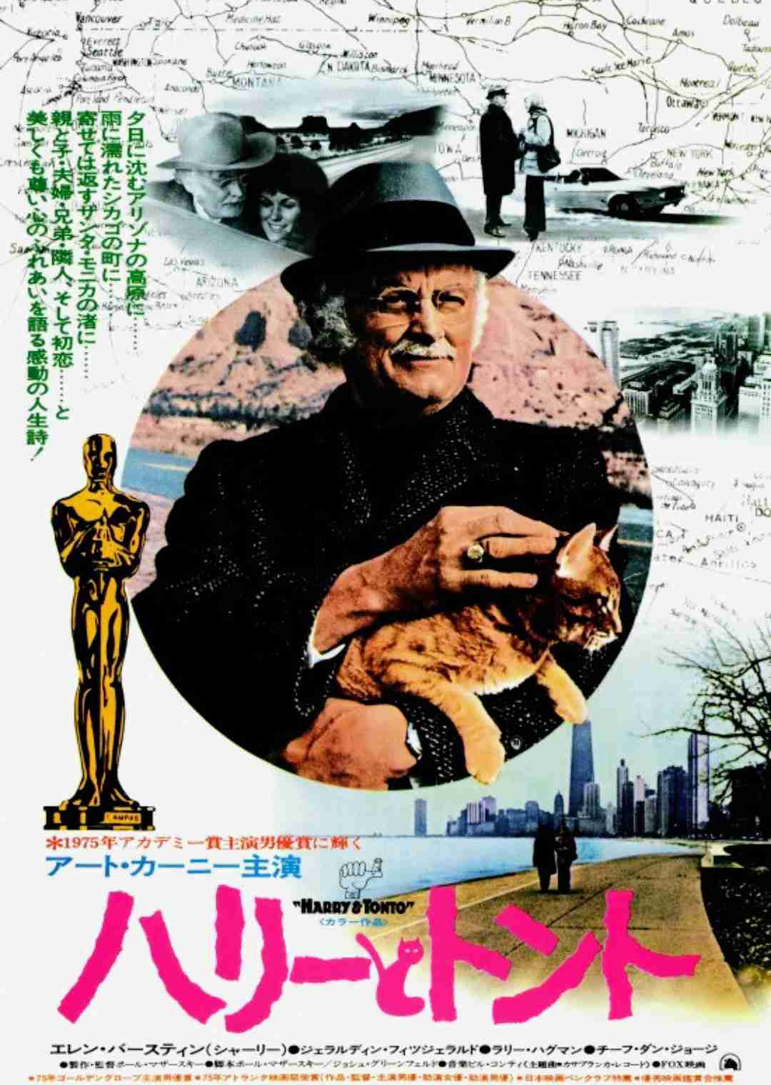 猫がでてくる映像作品（映画・ドラマなど）
