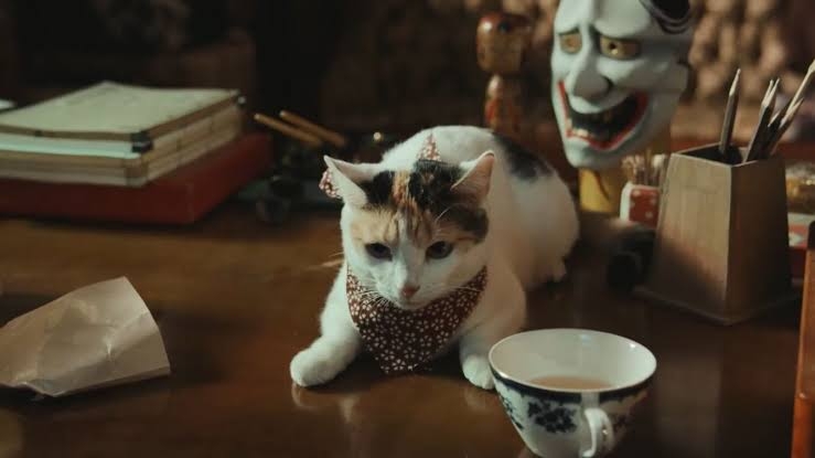 猫がでてくる映像作品（映画・ドラマなど）