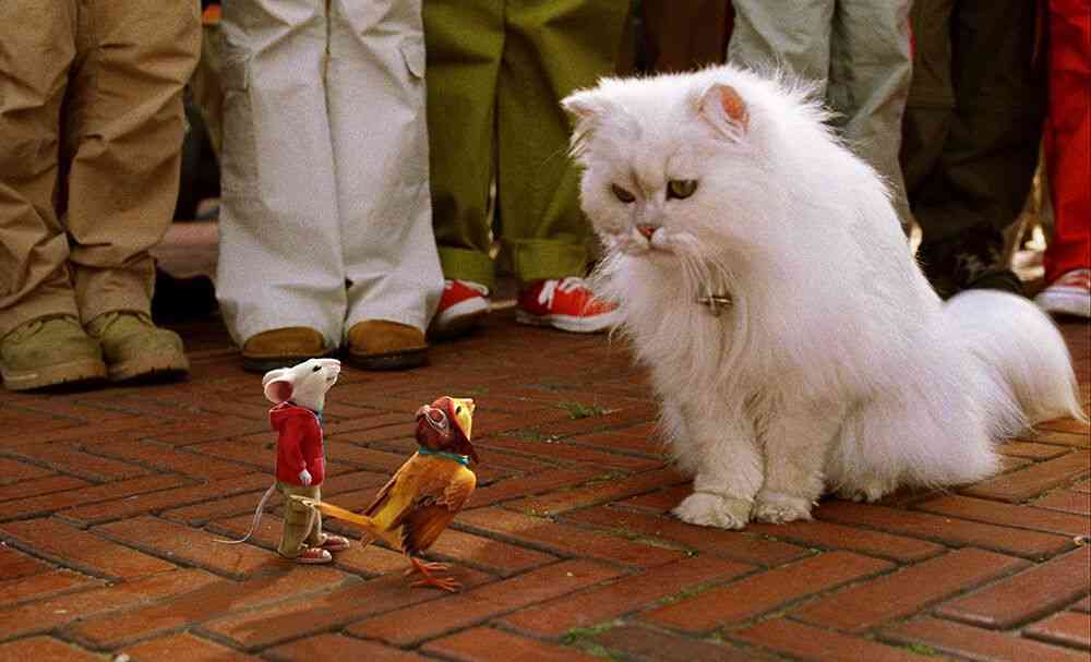 猫がでてくる映像作品（映画・ドラマなど）