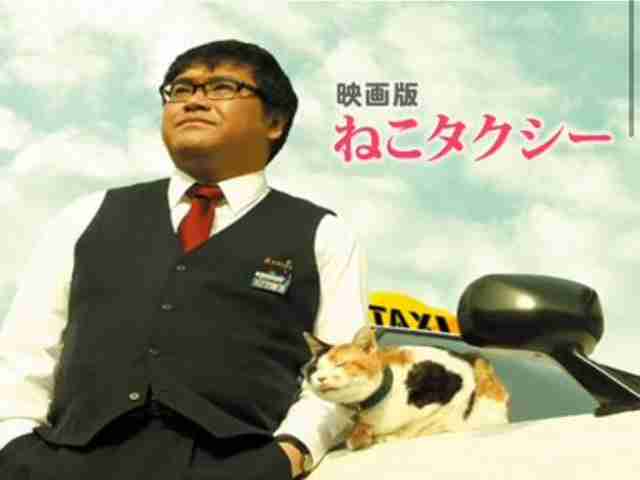 猫がでてくる映像作品（映画・ドラマなど）