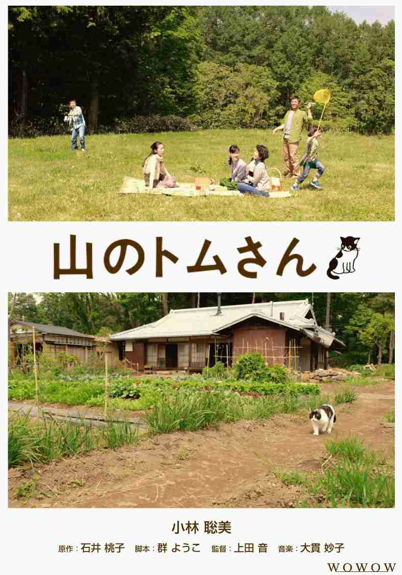 猫がでてくる映像作品（映画・ドラマなど）