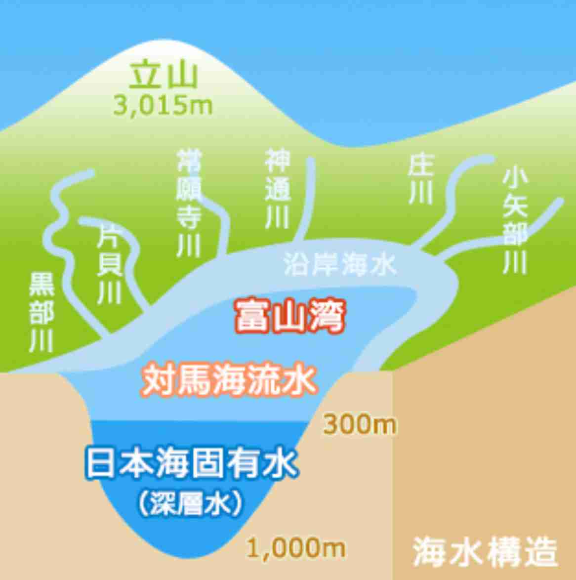 海鮮がおいしい都道府県🐟