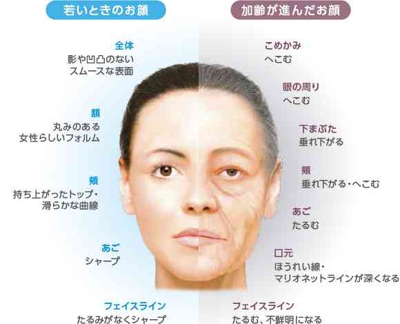 【顔の老い】「くぼみ」と「たるみ」どちらがマシ?