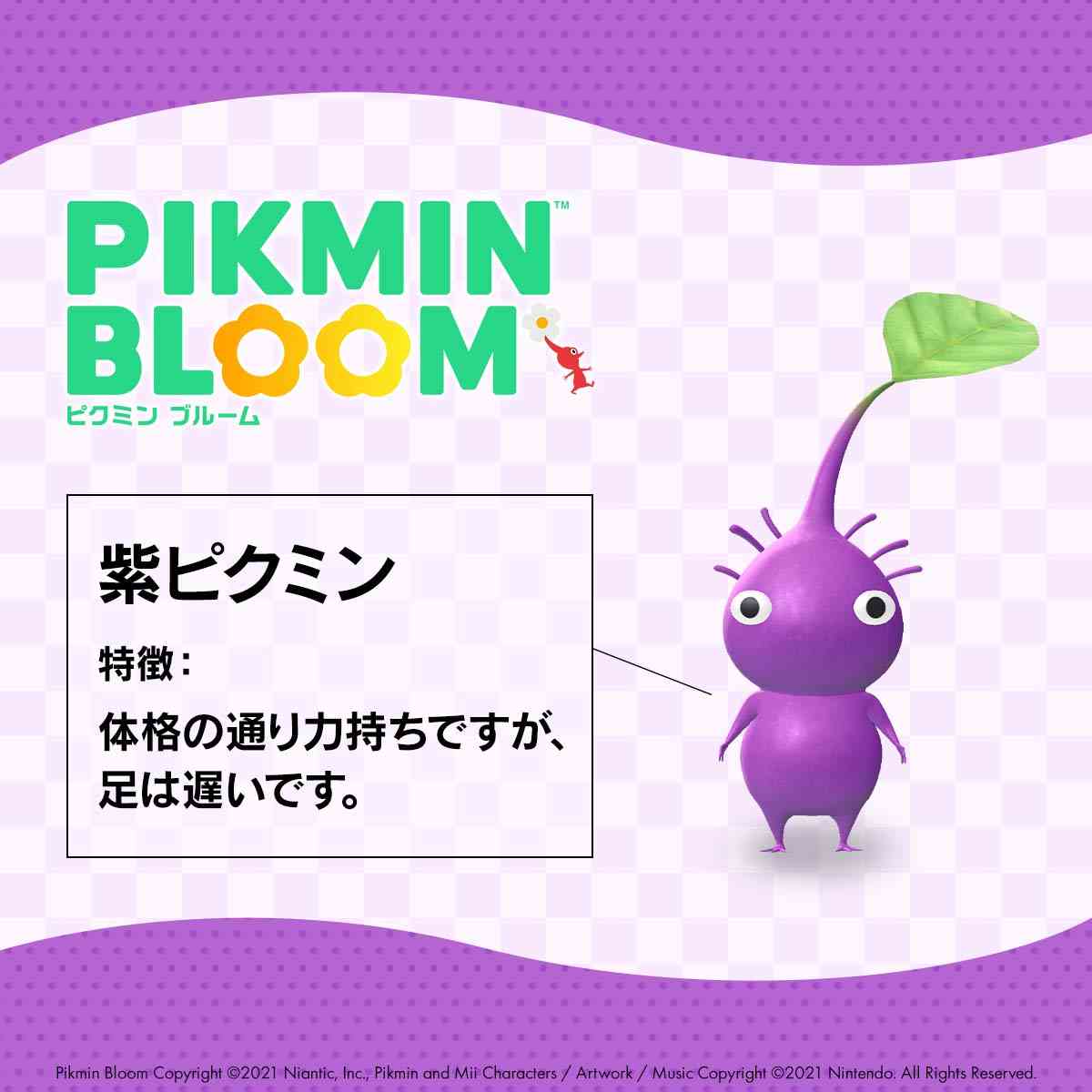 紫色が好きな人あつまれ！