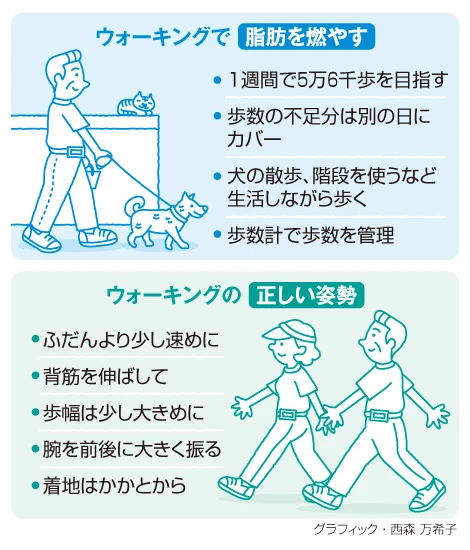今の季節のウォーキング